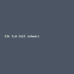 ESL 5,8 Zoll schwarz (VPE 20 Stück)