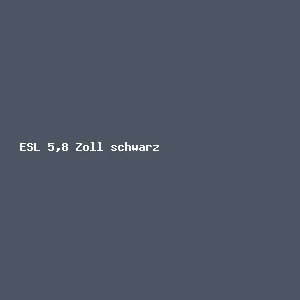 ESL 5,8 Zoll schwarz (VPE 20 Stück)