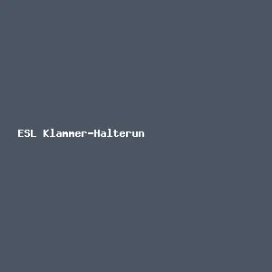 ESL Klammer-Halterung (VPE 20 Stück)