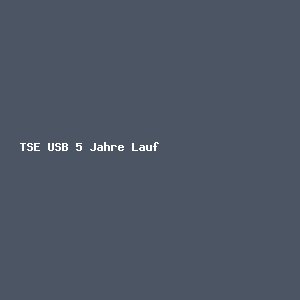 TSE USB 5 Jahre Laufzeit ab 10 Stück